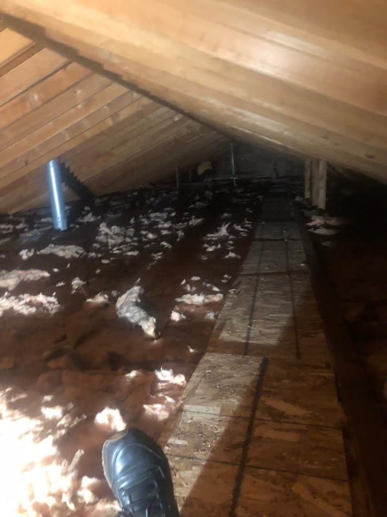 Cover Image for Preventing Mold: Tips for a Healthy Home